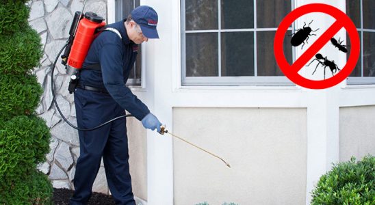 Darende Dezenfeksiyon böcek ilaçlama ve haşere kontrolü — ilaclama-tr.com